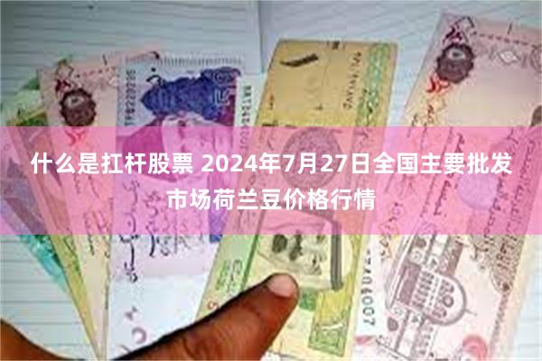 什么是扛杆股票 2024年7月27日全国主要批发市场荷兰豆价格行情