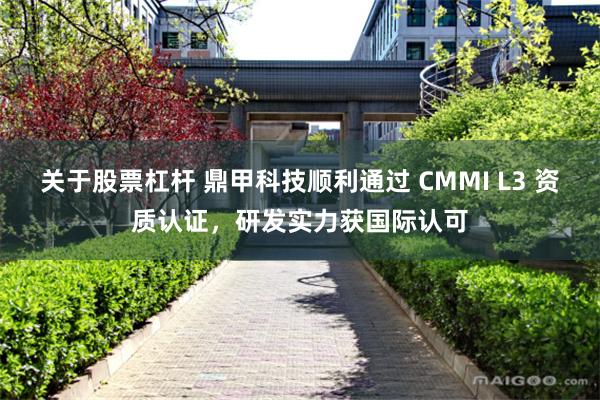 关于股票杠杆 鼎甲科技顺利通过 CMMI L3 资质认证，研发实力获国际认可