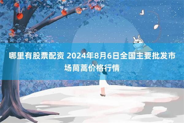 哪里有股票配资 2024年8月6日全国主要批发市场茼蒿价格行情