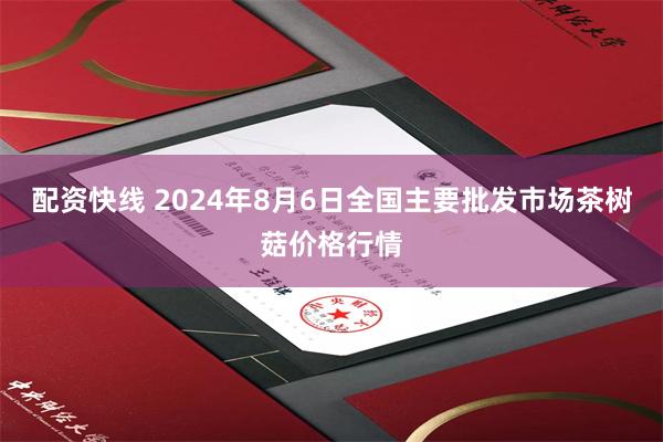 配资快线 2024年8月6日全国主要批发市场茶树菇价格行情