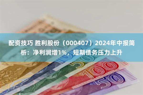 配资技巧 胜利股份（000407）2024年中报简析：净利润增1%，短期债务压力上升