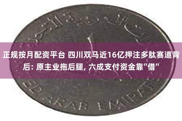 正规按月配资平台 四川双马近16亿押注多肽赛道背后: 原主业拖后腿, 六成支付资金靠″借″