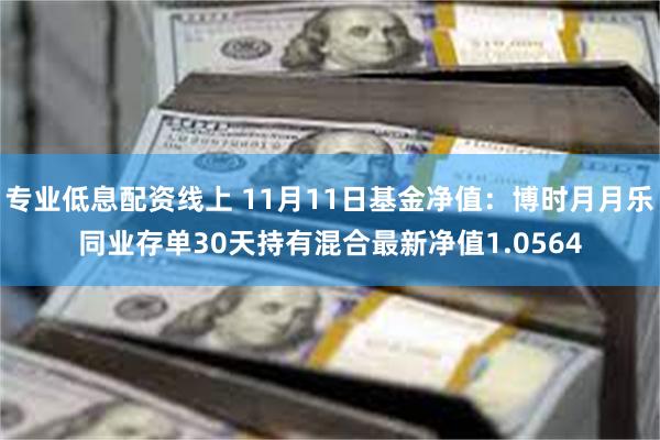 专业低息配资线上 11月11日基金净值：博时月月乐同业存单30天持有混合最新净值1.0564