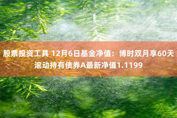 股票投资工具 12月6日基金净值：博时双月享60天滚动持有债券A最新净值1.1199