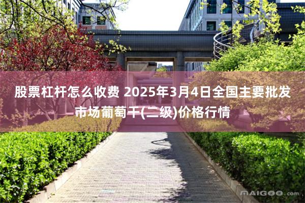 股票杠杆怎么收费 2025年3月4日全国主要批发市场葡萄干(二级)价格行情