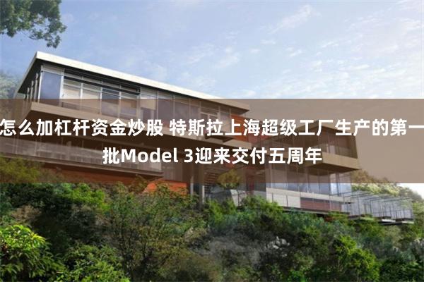 怎么加杠杆资金炒股 特斯拉上海超级工厂生产的第一批Model 3迎来交付五周年